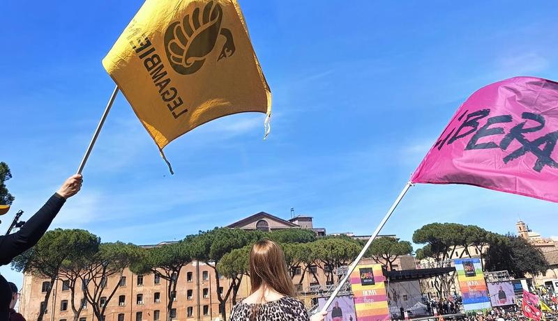 ControEcomafie: tutti i seminari