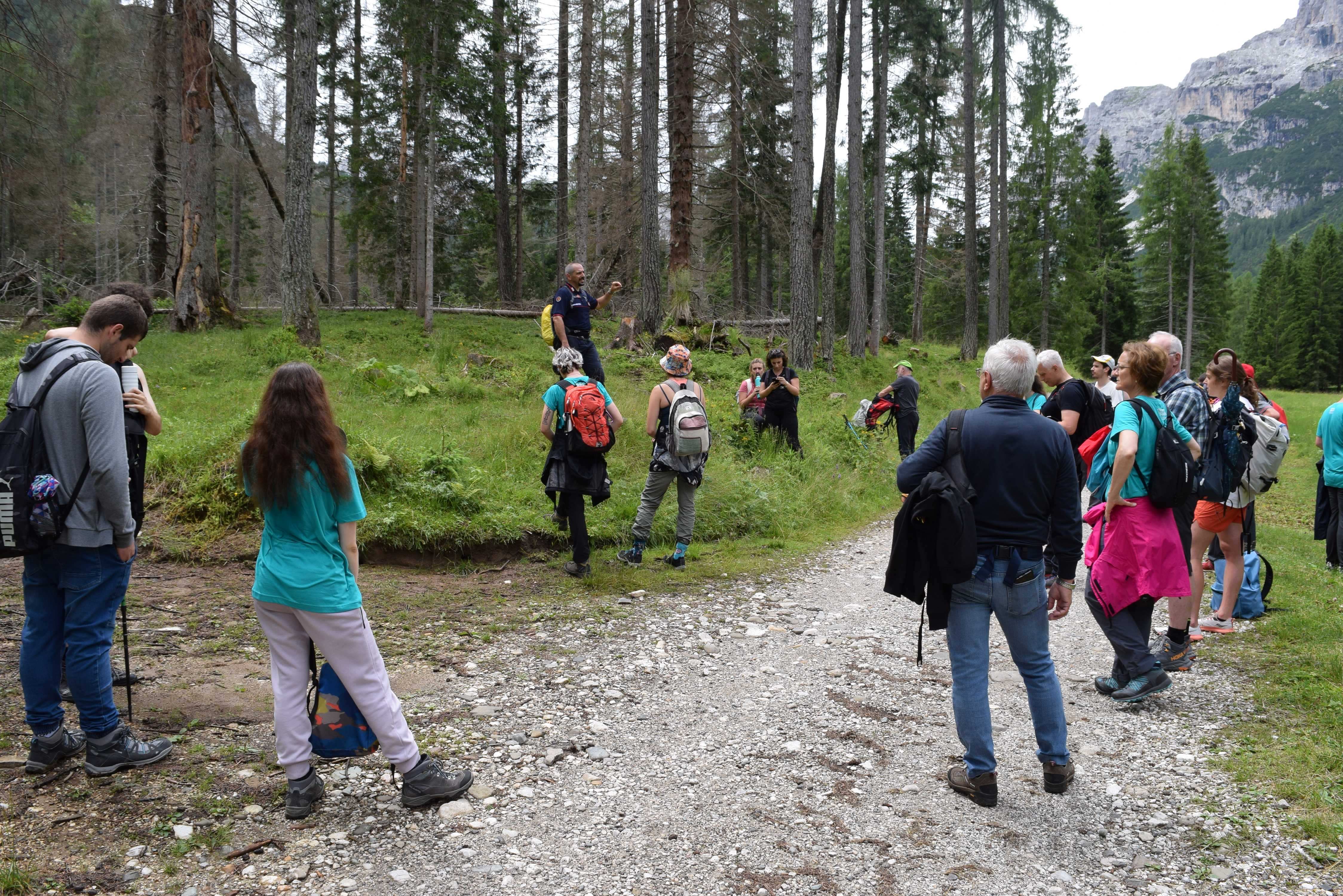 Longarone (BL) - Misto
