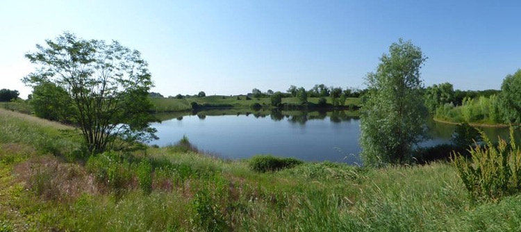 Monza (MB) - Gruppi
