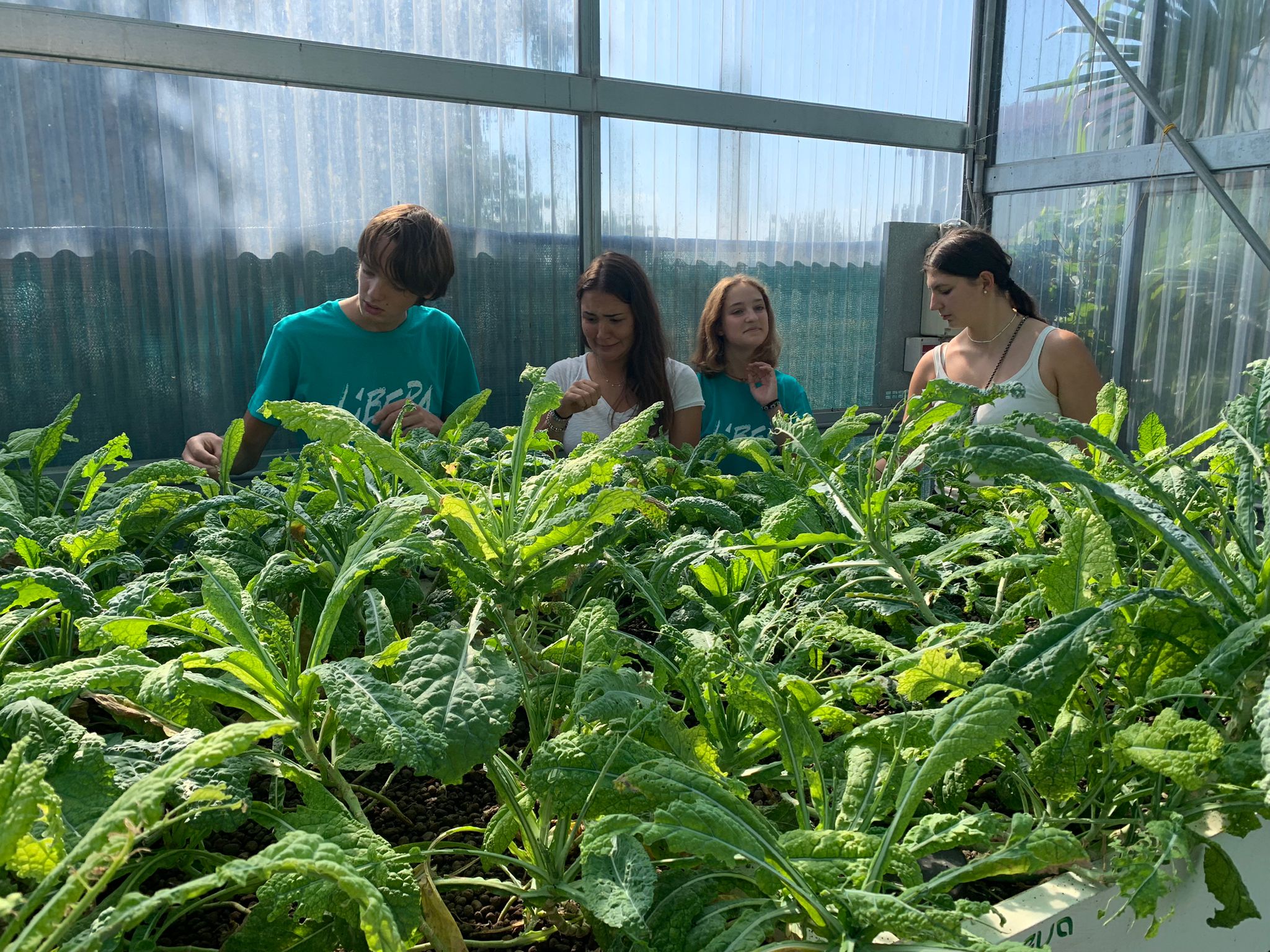 Bosco Marengo (AL) - 02/04/2026 - Gruppi