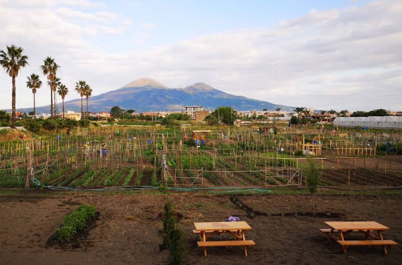 Scafati (SA) - Fondo Nappo - Maggiorenni
