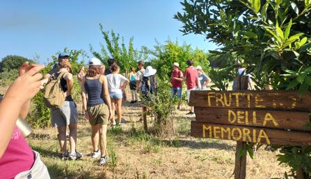 Isola di Capo Rizzuto (KR) - Misto