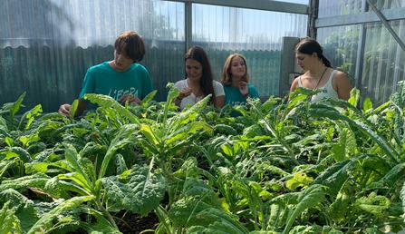 Bosco Marengo (AL) - 02/04/2026 - Gruppi