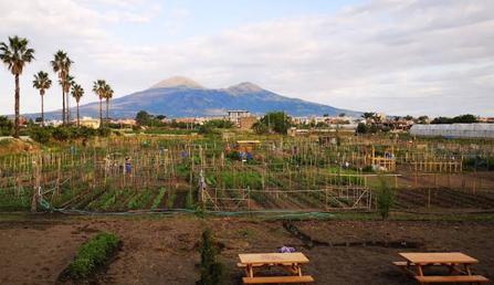 Scafati (SA) - Fondo Nappo - Maggiorenni