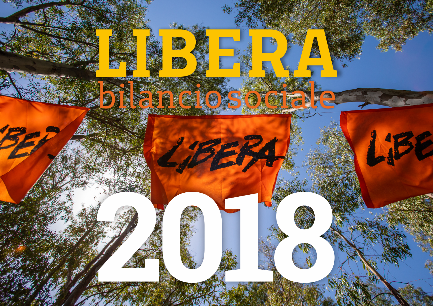 Bilancio sociale 2018